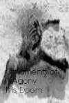 Ornaments Of Agony : It Is Doom